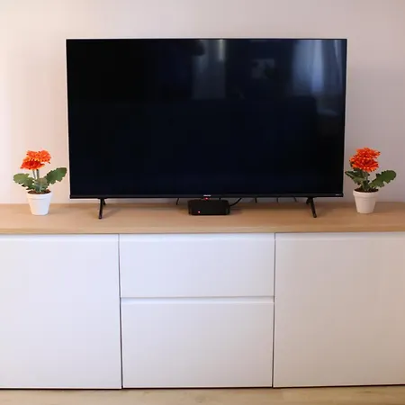 Maestro Damian, Moderna Vivienda Turistica A Estrenar En Apartment Bilbao