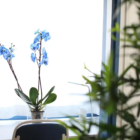 Maestro Damián, Moderna Vivienda Turística A Estrenar En