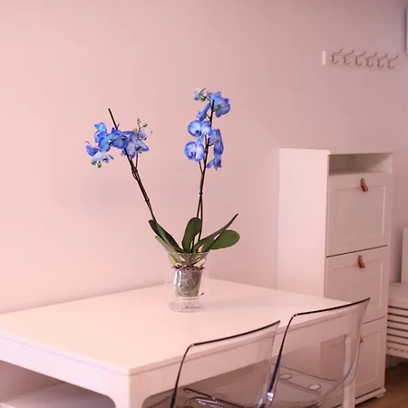 Maestro Damián, Moderna Vivienda Turística A Estrenar En *